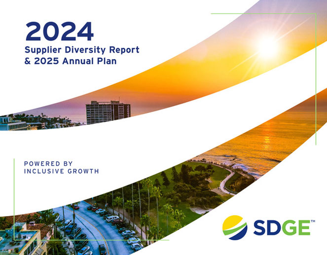 Supplier Diversity