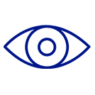 vision